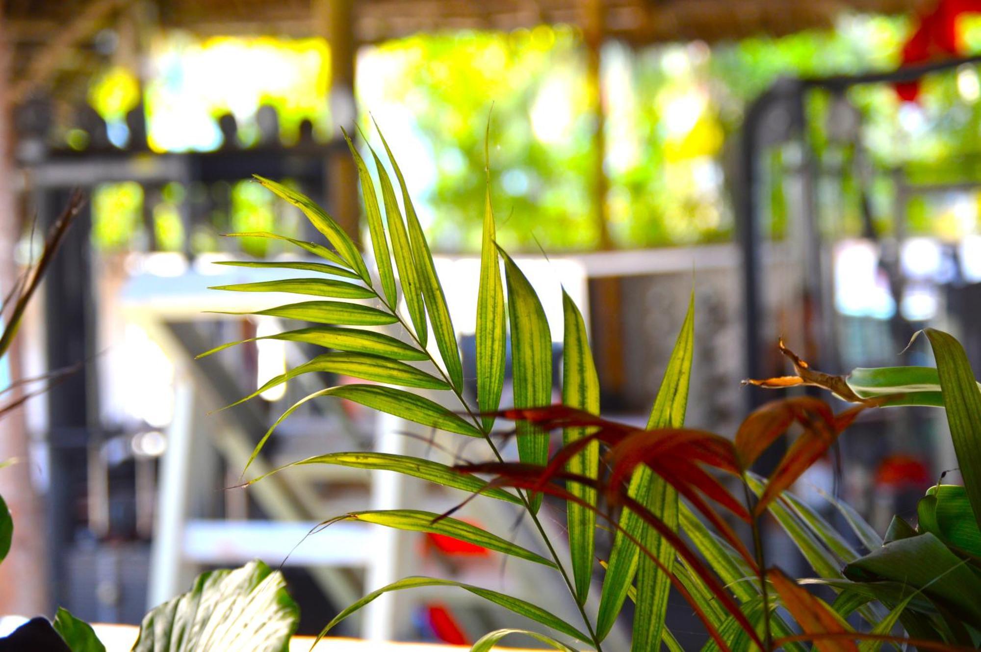 New Jambo Bungalows Paje Exterior foto